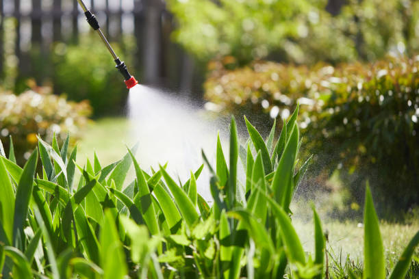 Tamper-Resistant Bait Stations for Rodents in Mountain Green